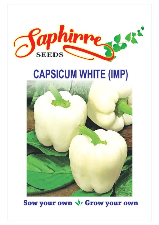 Capsicum White (IMP)