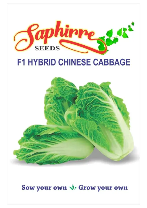 F1 Hybrid Chinese Cabbage