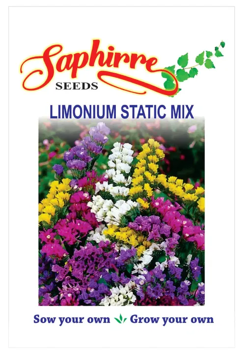 Limonium Static Mix