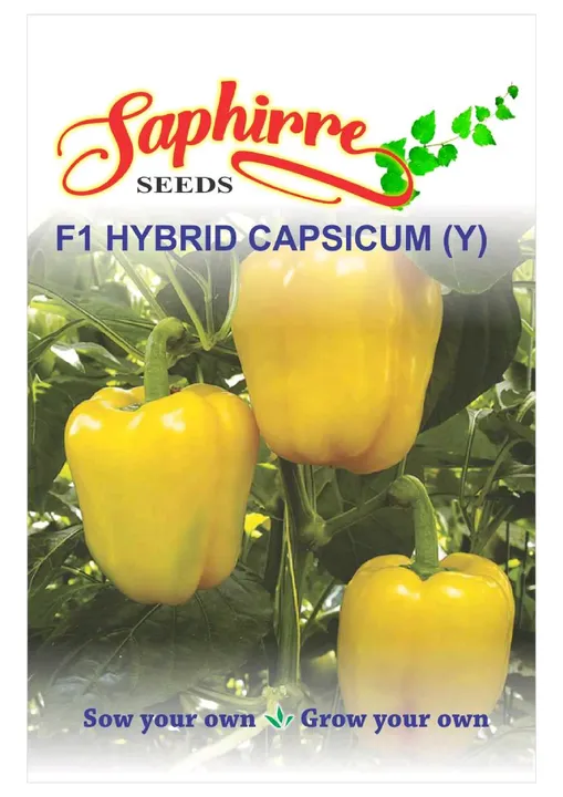 F1 Hybrid Capsicum (Y)