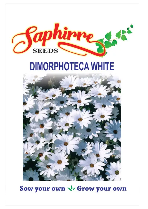 Dimorphoteca White