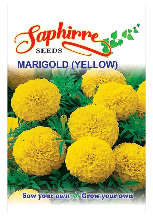 Marigold Yellow