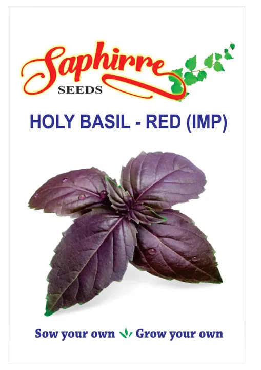 Holy Basil - Red (IMP)