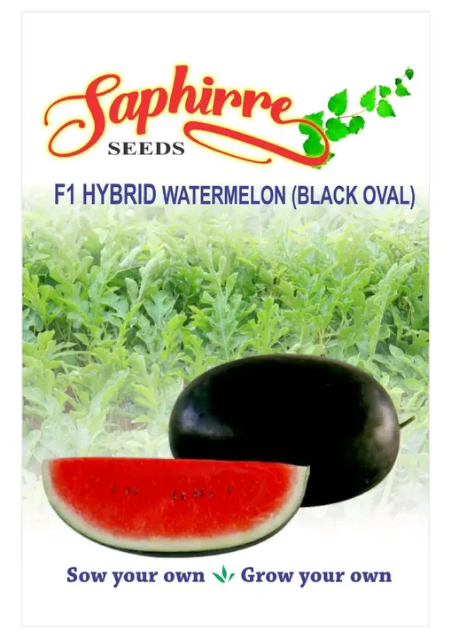 F1 Hybrid Watermelon (Black Oval)