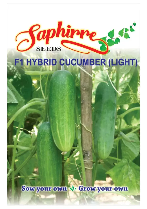 F1 Hybrid Cucumber (Light)