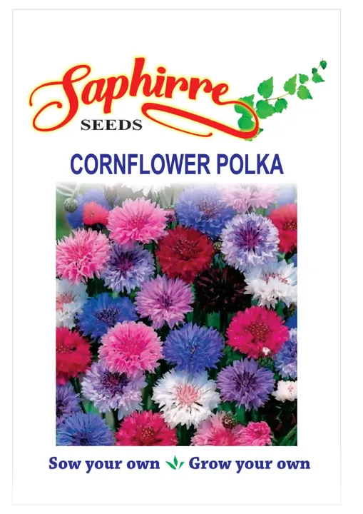 Cornflower Polka