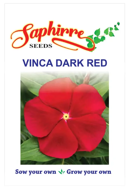 Vinca Dark Red