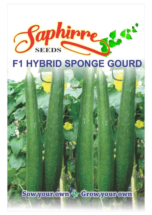 F1 Hybrid Sponge Gourd