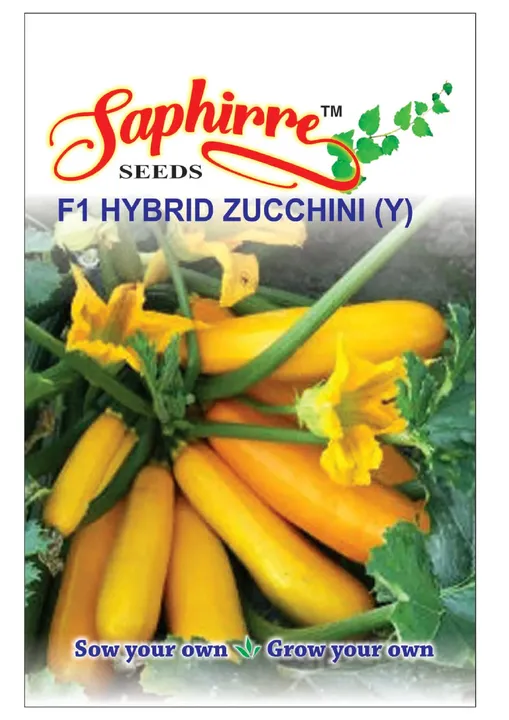 F1 Hybrid Zucchini (Y)