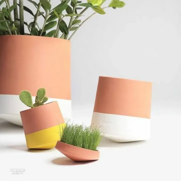 Imported Flower Pot