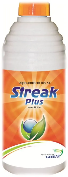 Streak Plus
