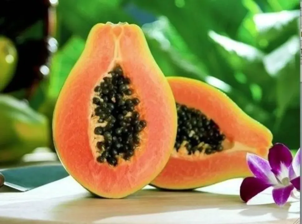 Papaya Research