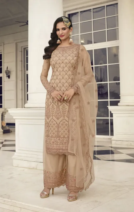 Beige Color Butterfly Net Pakistani Suit