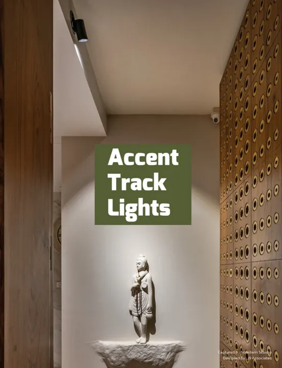 Accent Track Lights