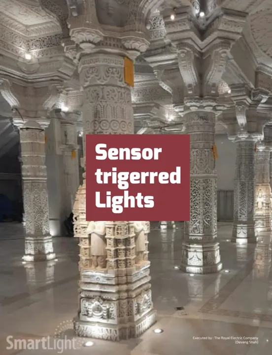 Sensor Triggered Lights