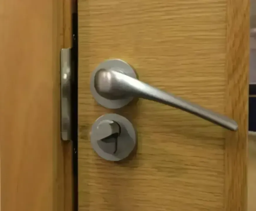 DOOR HANDLES