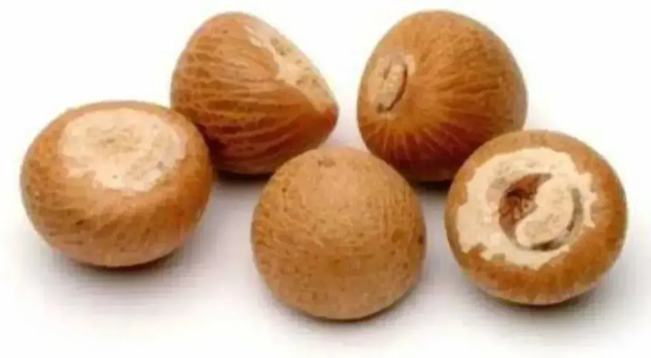 Betel Nuts