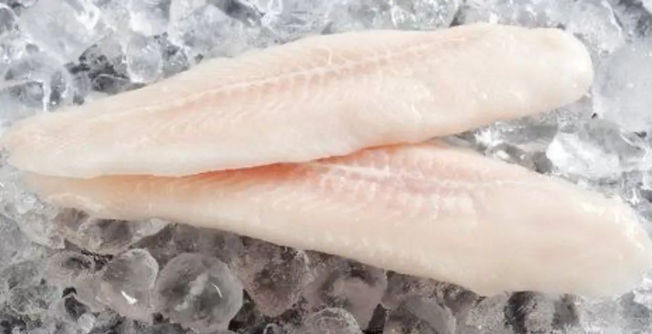 Basa Frozen Boneless Fish