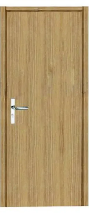 PVC Flush Door